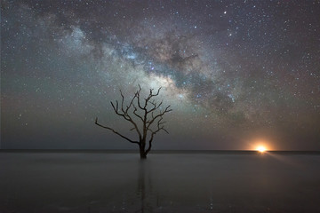 Fototapeta na wymiar Botany Bay Beach under the Milky Way Galaxy 