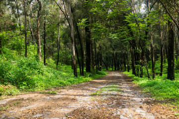 Roads