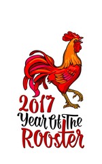 Red fiery rooster. Vintage black vector engraving illustration