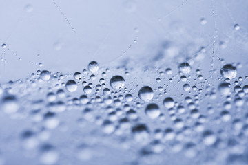 Abstract composition with water drops, spiderwebs and bokeh