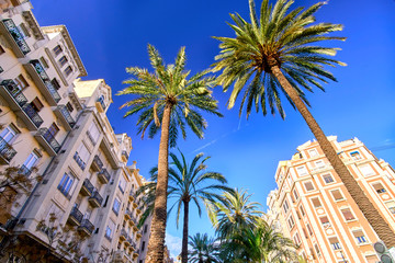 Fototapeta na wymiar Valencia Spain Street with Palms