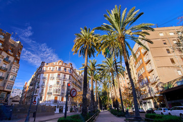 Valencia Spain Street with Palms