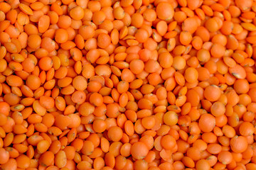 Rote Linsen - Hintergrund