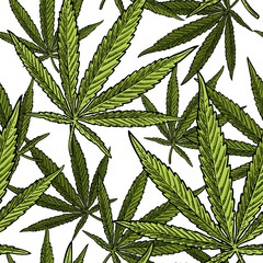 Seamless pattern with marijuana leaf. Vintage black vector engraving illustration