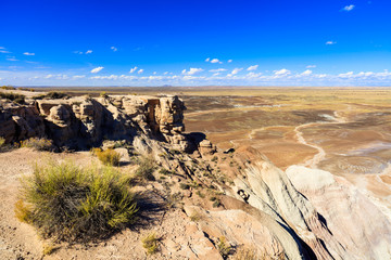 Arizona petrified forest