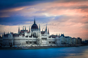 Fototapeta na wymiar The Parliament building surrounded by birds at sunset.