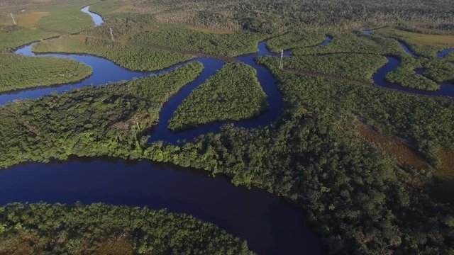 Aerial View of Rainforest, Brazil