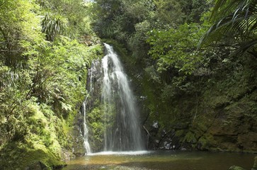 Fototapeta na wymiar Waterfall in New Zealand rain forest