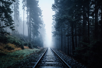 Fototapeta premium Verlassene Schienen führen in den dunklen Nebel Wald
