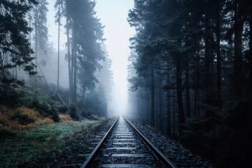 Fototapeten Verlassene Schienen führen in den dunklen Nebel Wald © ohenze