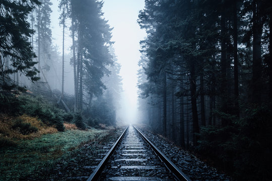 Fototapeta Verlassene Schienen führen in den dunklen Nebel Wald