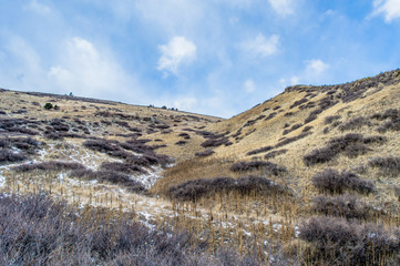 Snowy Colorado mountainside with brush and weeds.