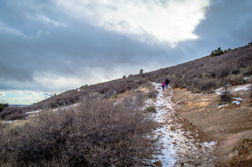Fototapeta premium Hikers on a snowy Colorado mountain trail in brush landsape.