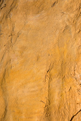 rock texture background from natural or park