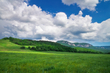 Fototapeta na wymiar Beautiful mountain landscape with chamomiles and cloudy sky.