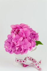 bunch of hortensia pink flowers in a vase