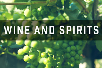 Text WINE AND SPIRITS on grape background