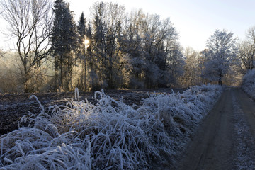 Fairytale snowy winter rural landscape with blue Sky in Bohemia, Czech Republic