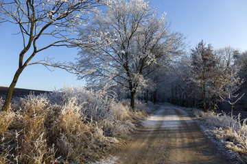Fairytale snowy winter rural landscape with blue Sky in Bohemia, Czech Republic