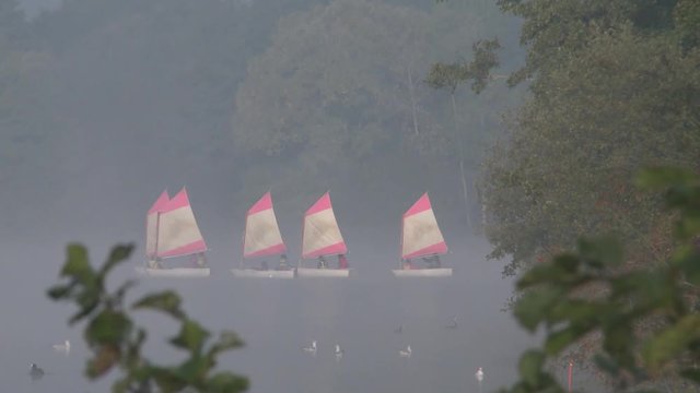 Voiliers dans la brume