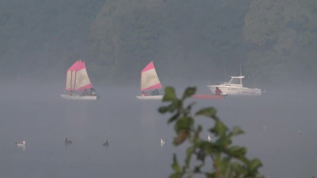 Voiliers dans la brume