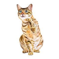 Watercolor portrait of bengal cute cat with dots, stripes isolated on white background. Hand drawn sweet home pet. Bright colors, realistic design. Greeting card design. Clip art. Place for your text - 132173793