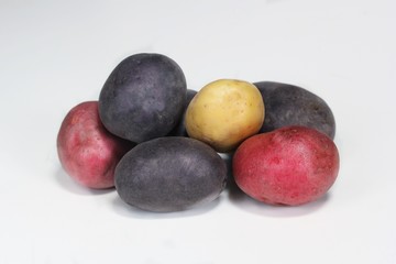 Multi Color potatoes over a white background