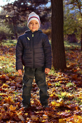 Fototapeta na wymiar Portrait of a happy boy in the autumn park