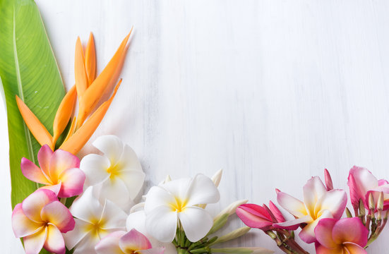 White Wood Texture With Heliconia And Plumeria Flower