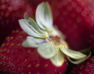 Strawberry Closeup