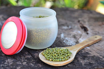Green beans in a jar and wooden spoon on a wooden background