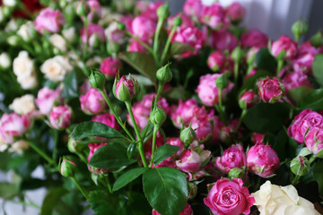 Fresh roses at floral shop, closeup