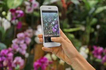 Crédence de cuisine en verre imprimé Fleuriste Female hand taking photo of beautiful flowers with smart phone at floral shop