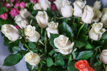Obraz na płótnie Canvas Fresh roses at floral shop, closeup