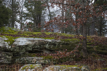 Rock bluff