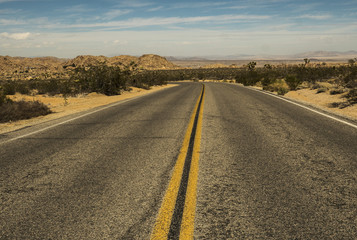 Open Road-Joshua Tree
