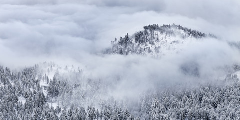 Winter landscape with cloud inversion. Reno, Nevada