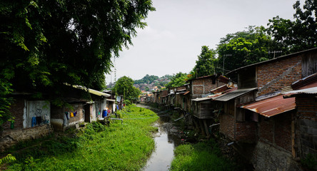 Fototapeta na wymiar Slums near river with bushes and big tree photo taken in Semarang Indonesia