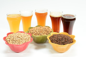 Home brew beer ingredients with various grains illustrating different color and the beers produced from different mixtures of grains