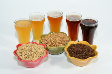 Home brew beer ingredients with various grains illustrating different color and the beers produced from different mixtures of grains