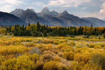 Fall in the Tetons