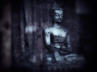 Fototapeta na wymiar Buddhist rupa,
