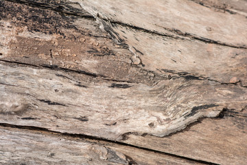 old wood