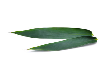 Naklejka premium Bamboo leaf isolated on white background