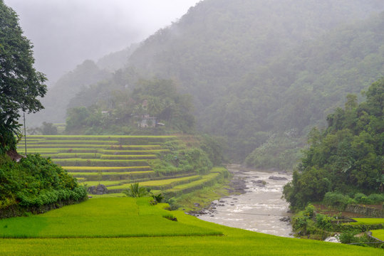 mountain province ifugao , philippines