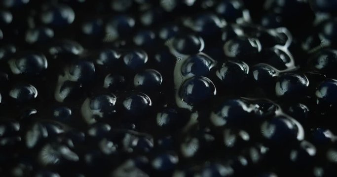 Macro shot of caviar, is a food that is achieved through processing and salting the eggs of several species of sturgeon. Food concept, high-quality, gourmet, restaurants.