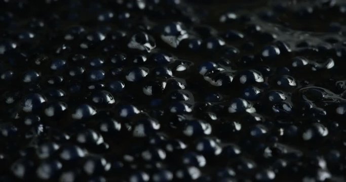 Macro shot of caviar, is a food that is achieved through processing and salting the eggs of several species of sturgeon. Food concept, high-quality, gourmet, restaurants.
