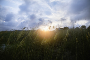Sunset in sand dunes at the beach