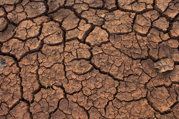 dry land in the cracks, background
