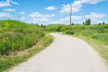 Fototapeta na wymiar Russian summertime rural road and meadow landscape